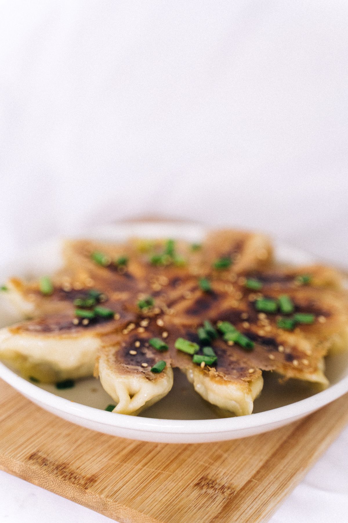 煎至金黃的鍋貼餐點示意